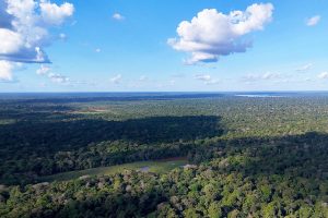 Leia mais sobre o artigo Prêmio Juízo Verde 2025: CNJ reconhecerá boas práticas e desempenho dos tribunais